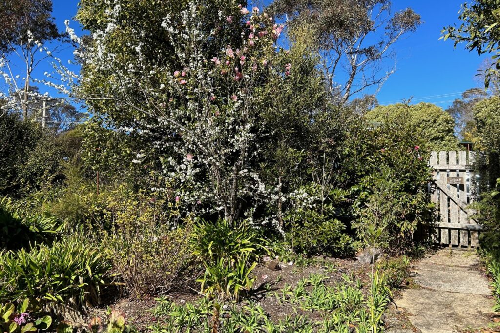 52 Sixth Avenue, Katoomba, NSW 2780 AUS