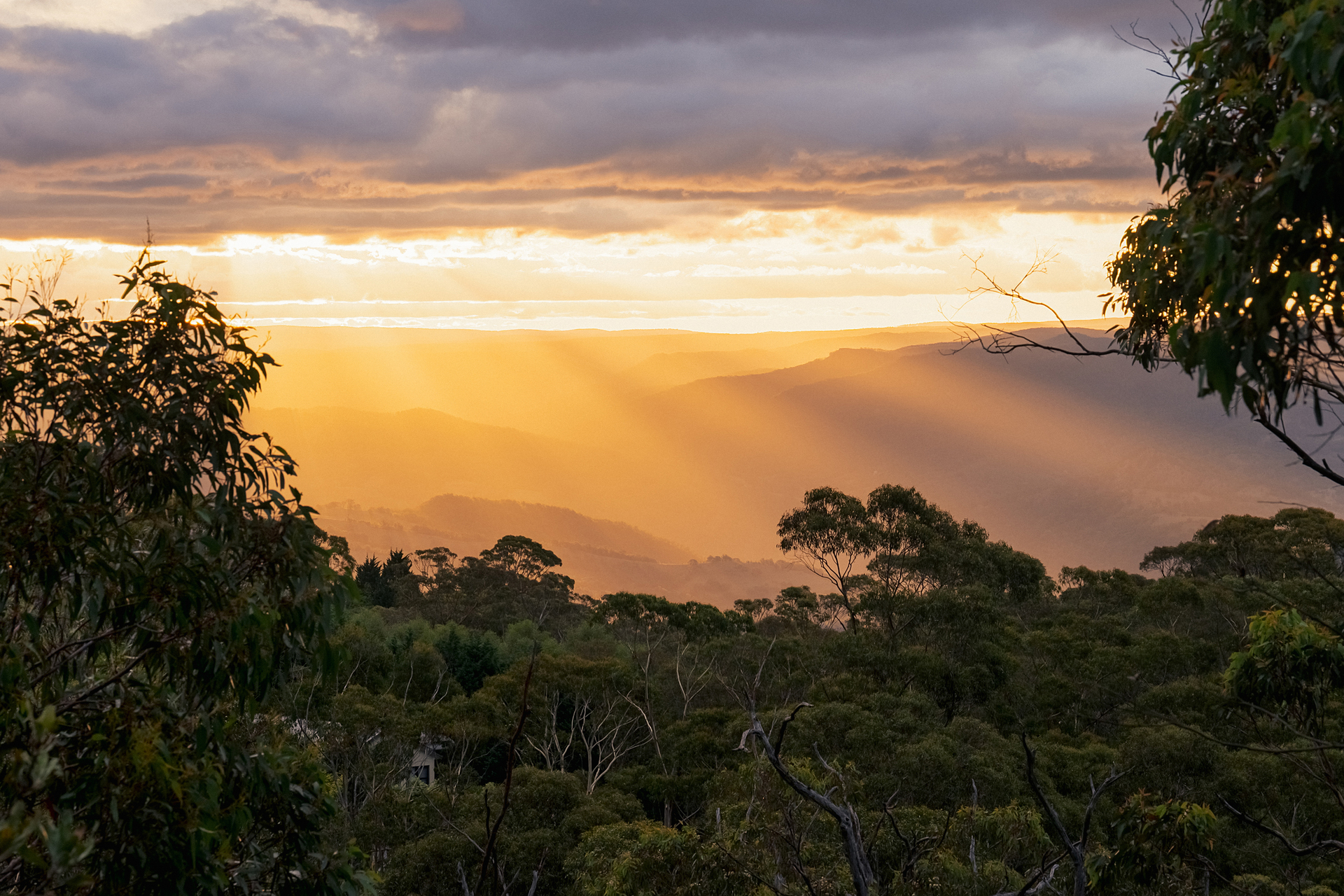 49-63 Narrow Neck Road, Katoomba, NSW 2780 AUS