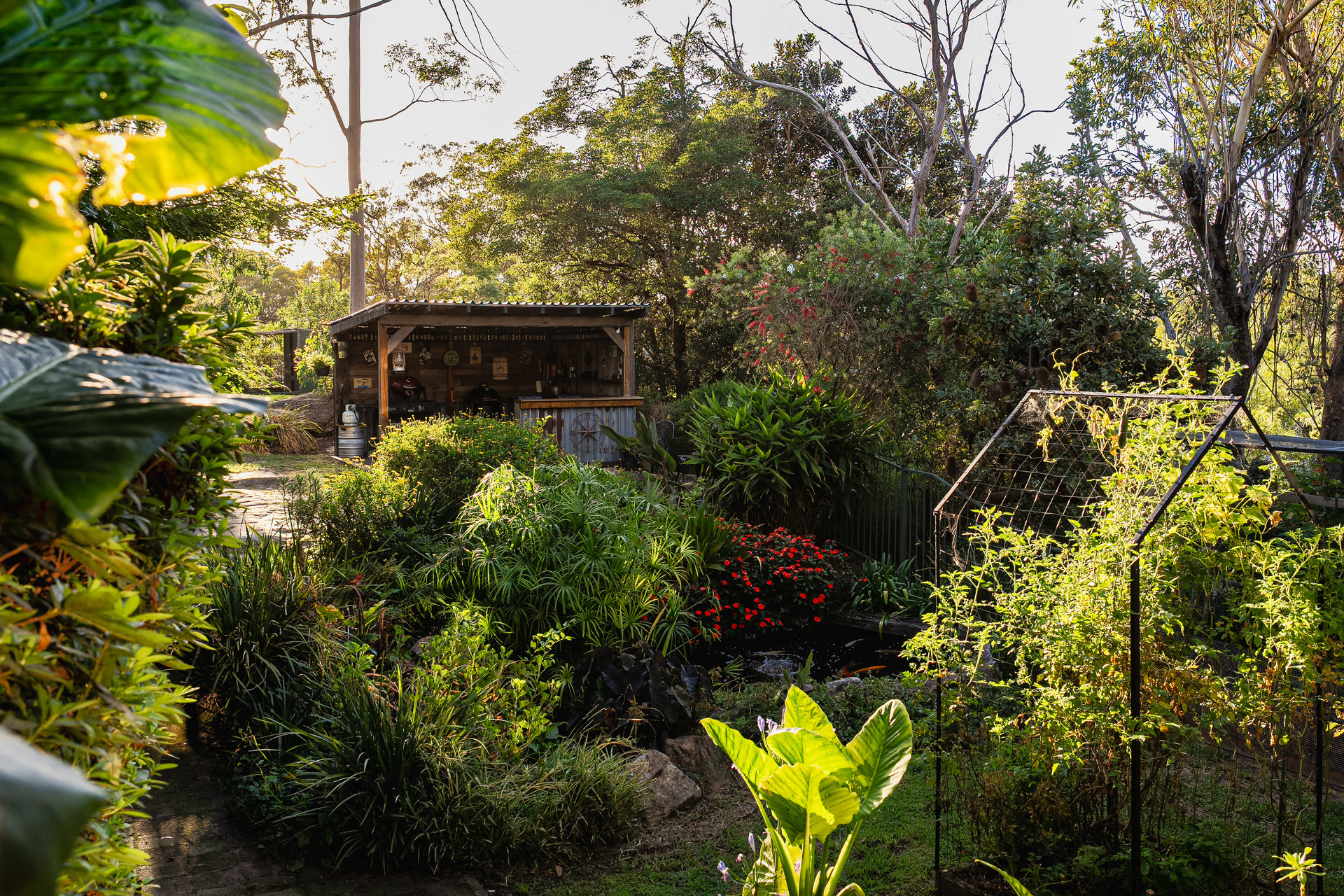 23 Shirlow Avenue, Faulconbridge, NSW 2776 AUS