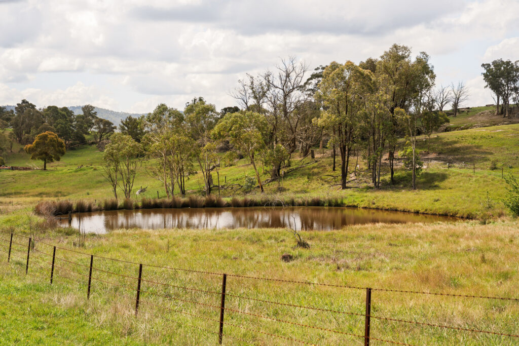 340 Great Western Highway, Marrangaroo - Thumbnail 6