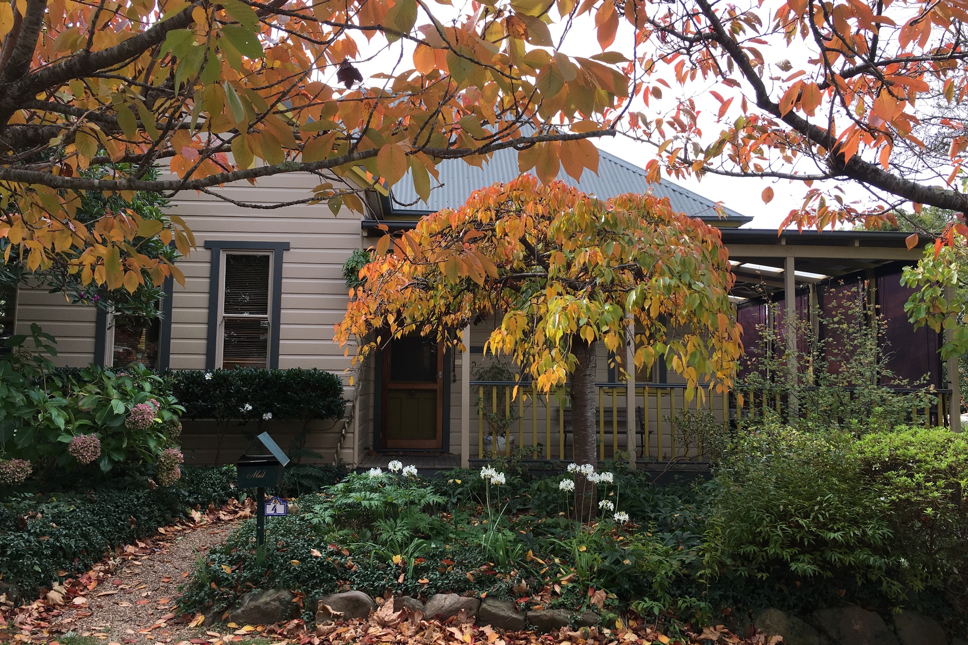 4 Dunmore Street, Katoomba, NSW 2780 AUS