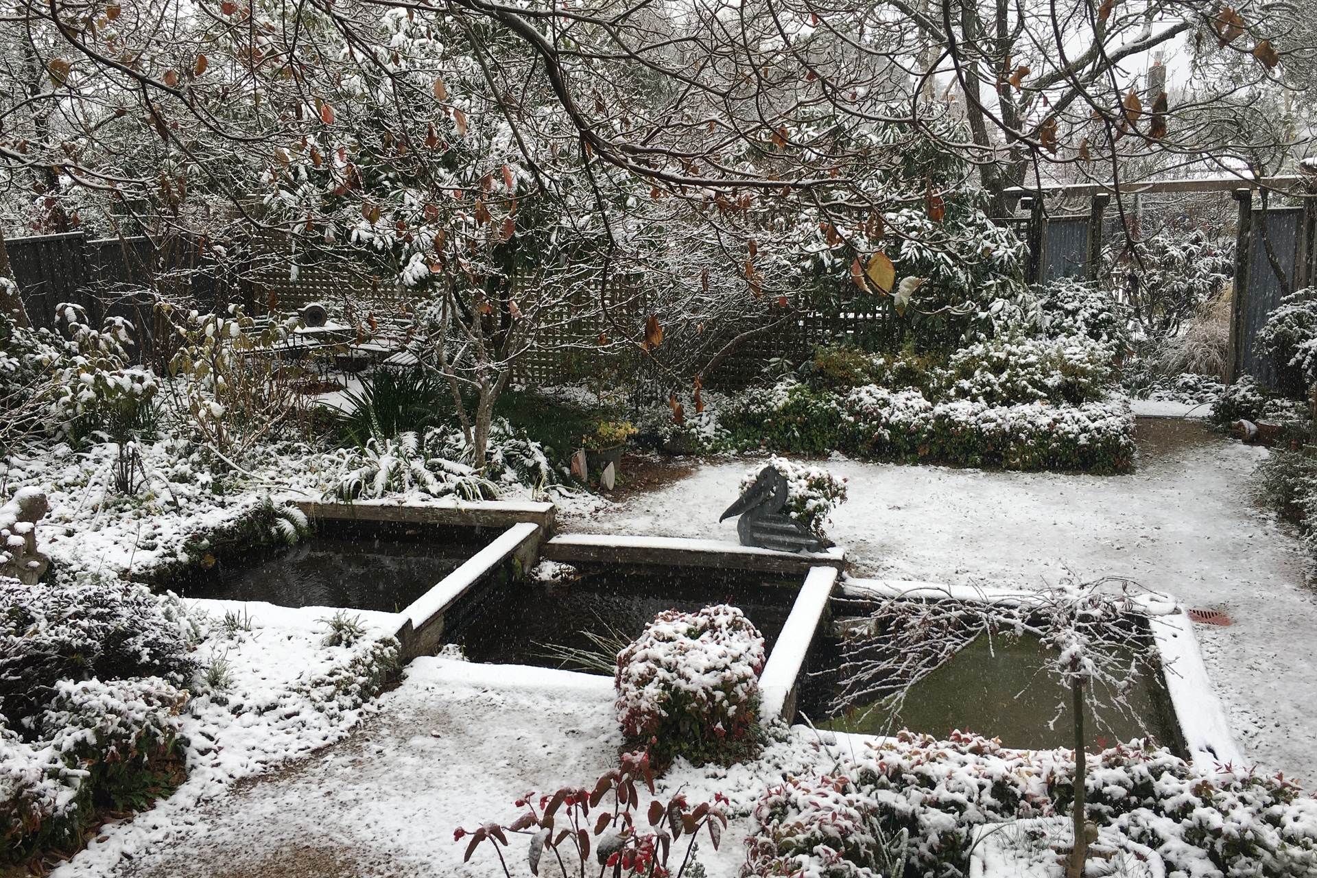 4 Dunmore Street, Katoomba, NSW 2780 AUS