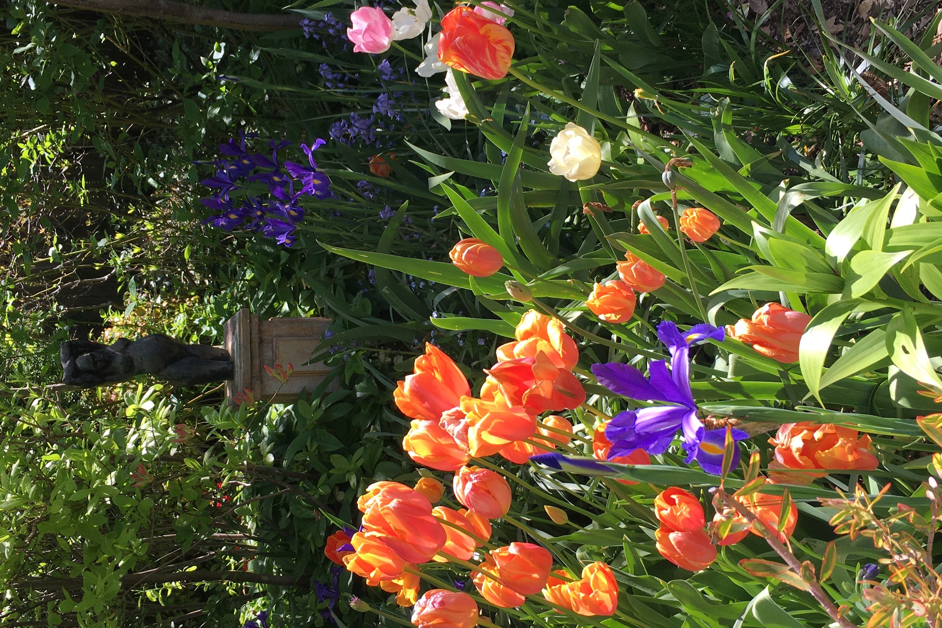 4 Dunmore Street, Katoomba, NSW 2780 AUS