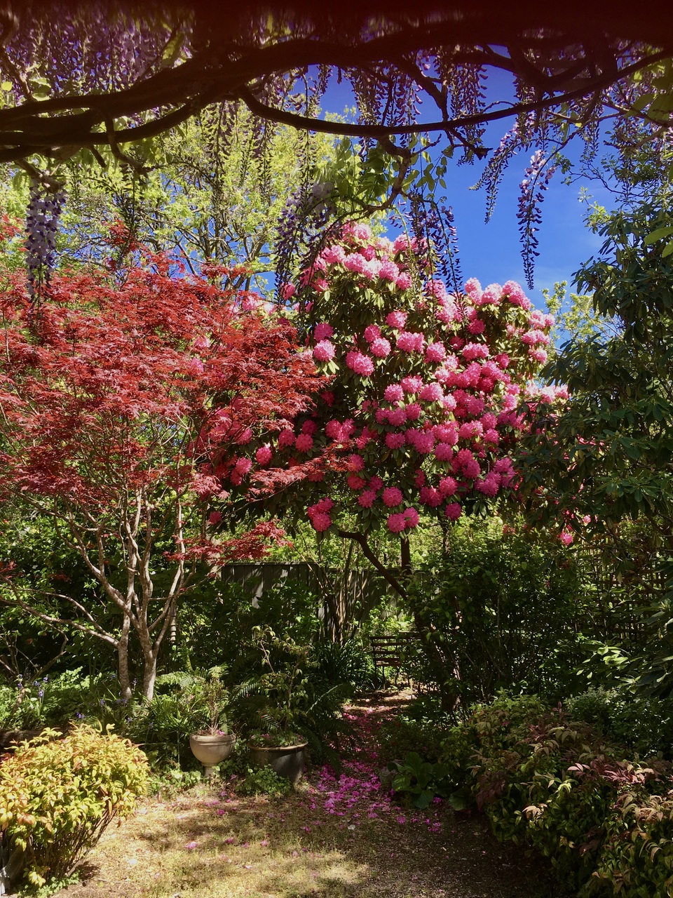 4 Dunmore Street, Katoomba, NSW 2780 AUS