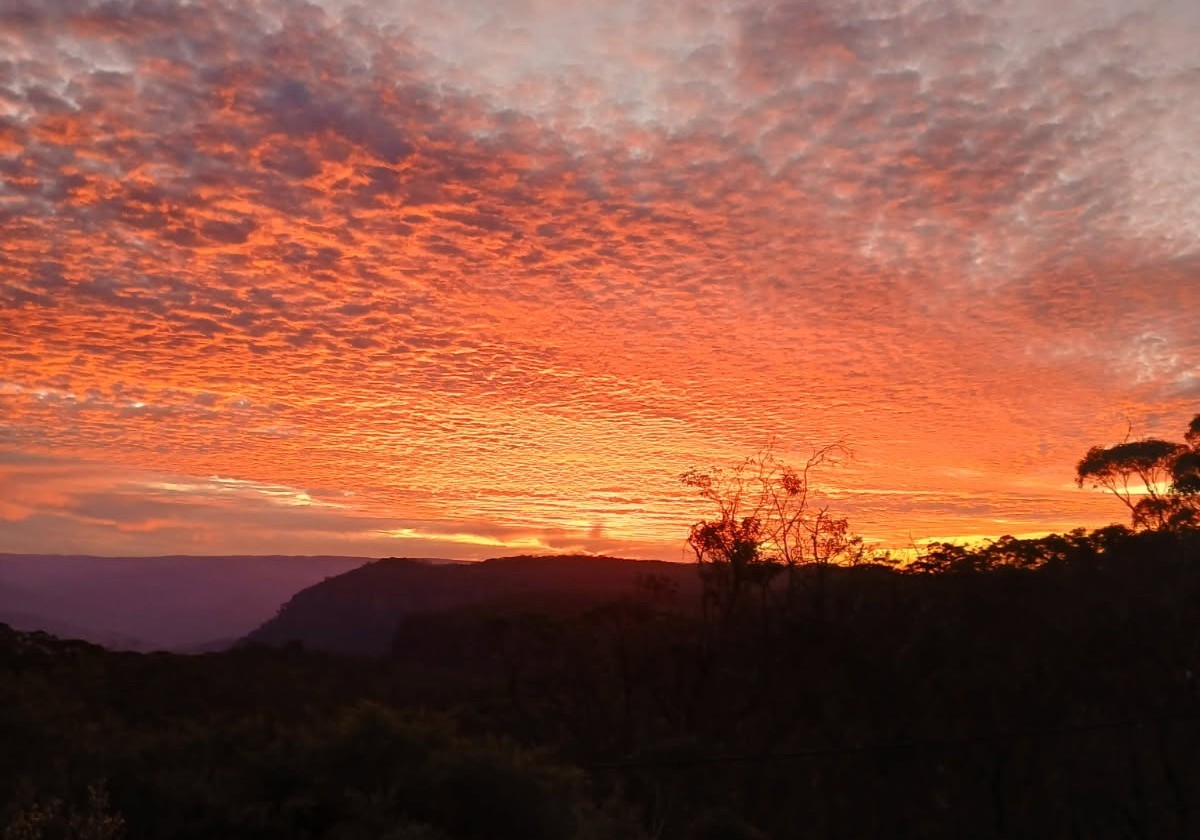 36 Narrow Neck Road, Katoomba, NSW 2780 AUS