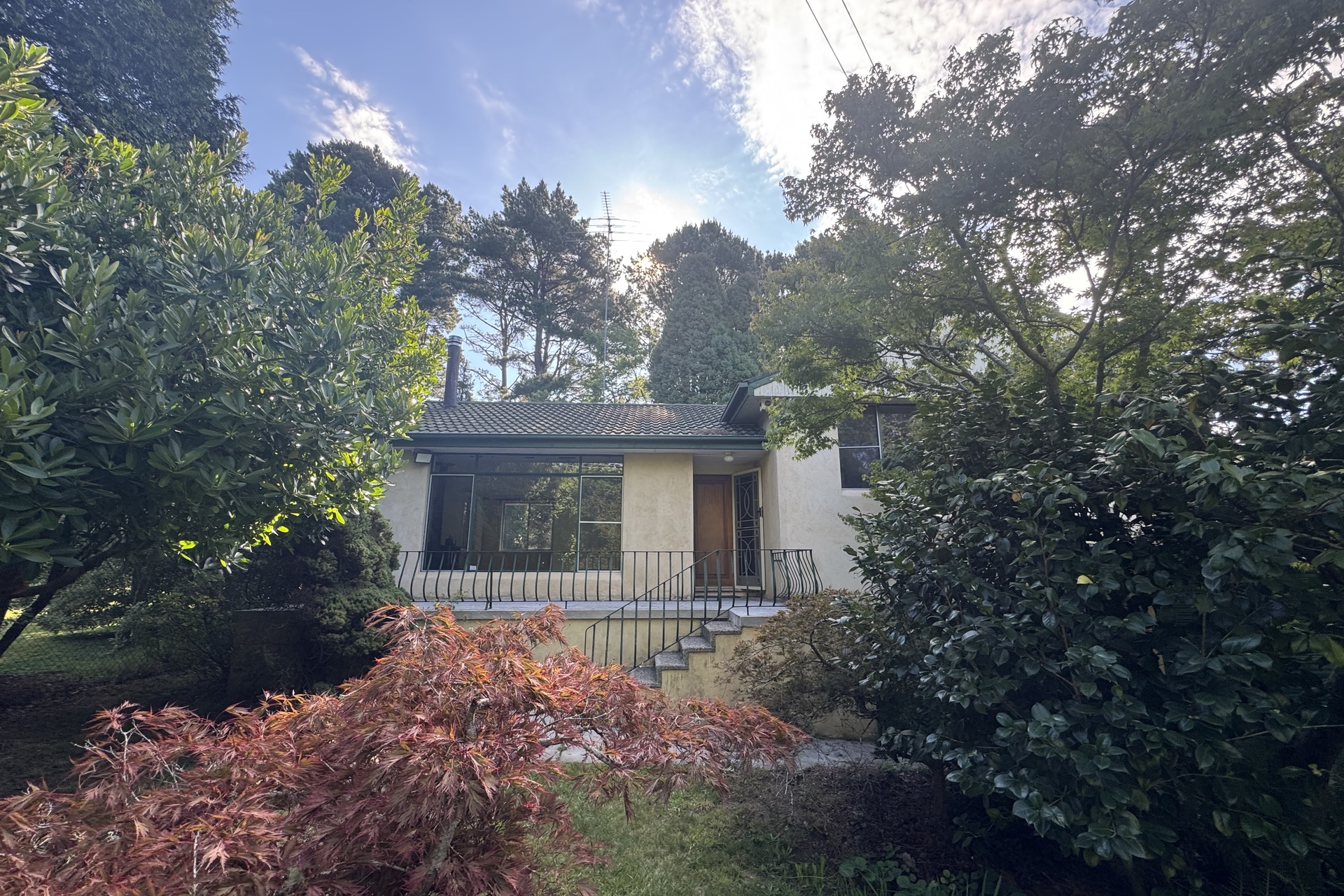107 Pritchard Street, Wentworth Falls, NSW 2782 AUS