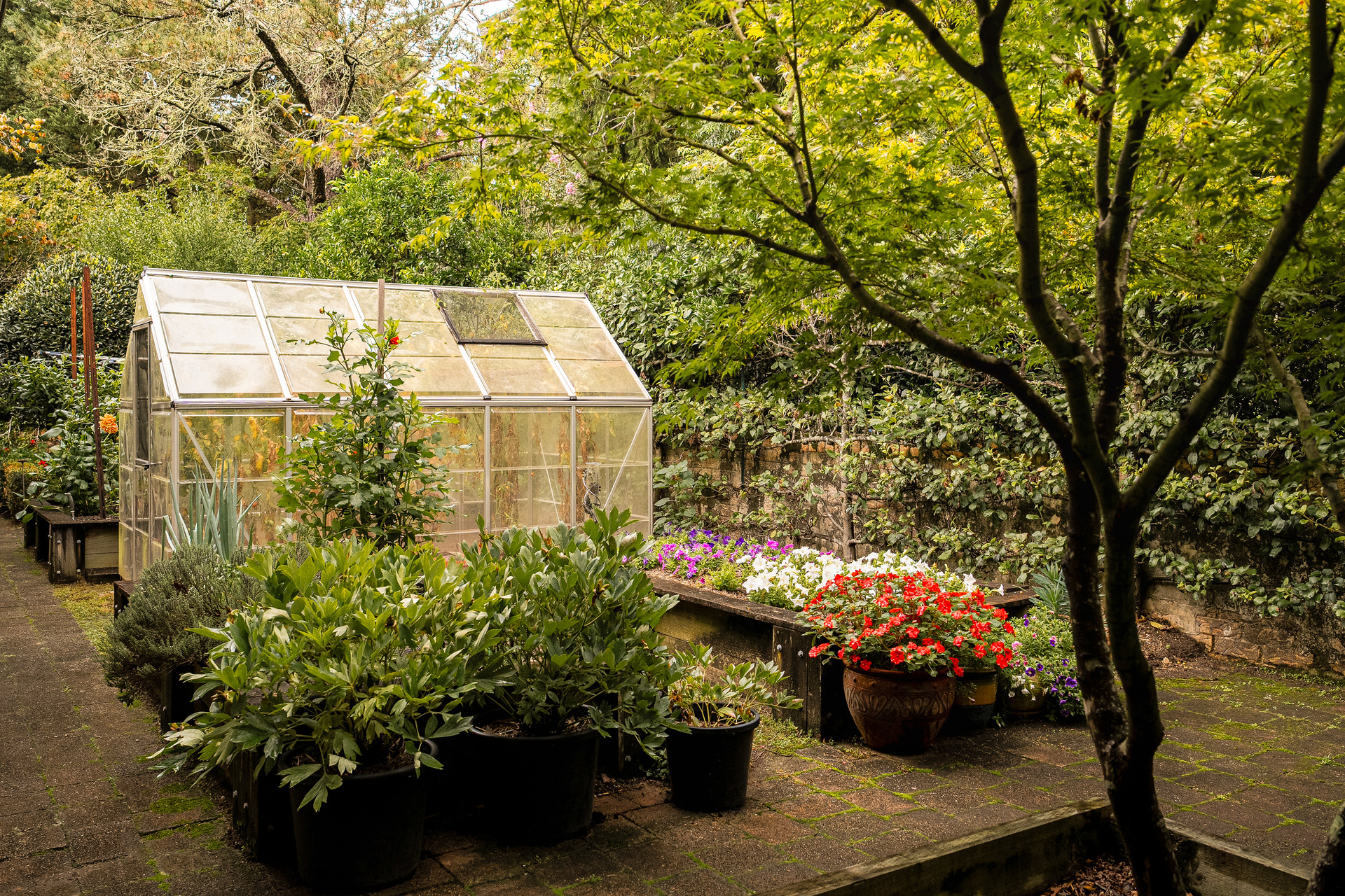 38 Summer Road, Faulconbridge, NSW 2776 AUS