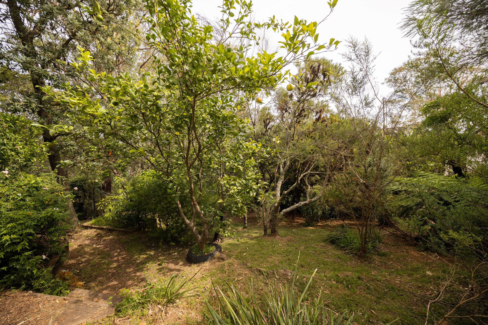 63 Lawson View Parade, Wentworth Falls, NSW 2782 AUS