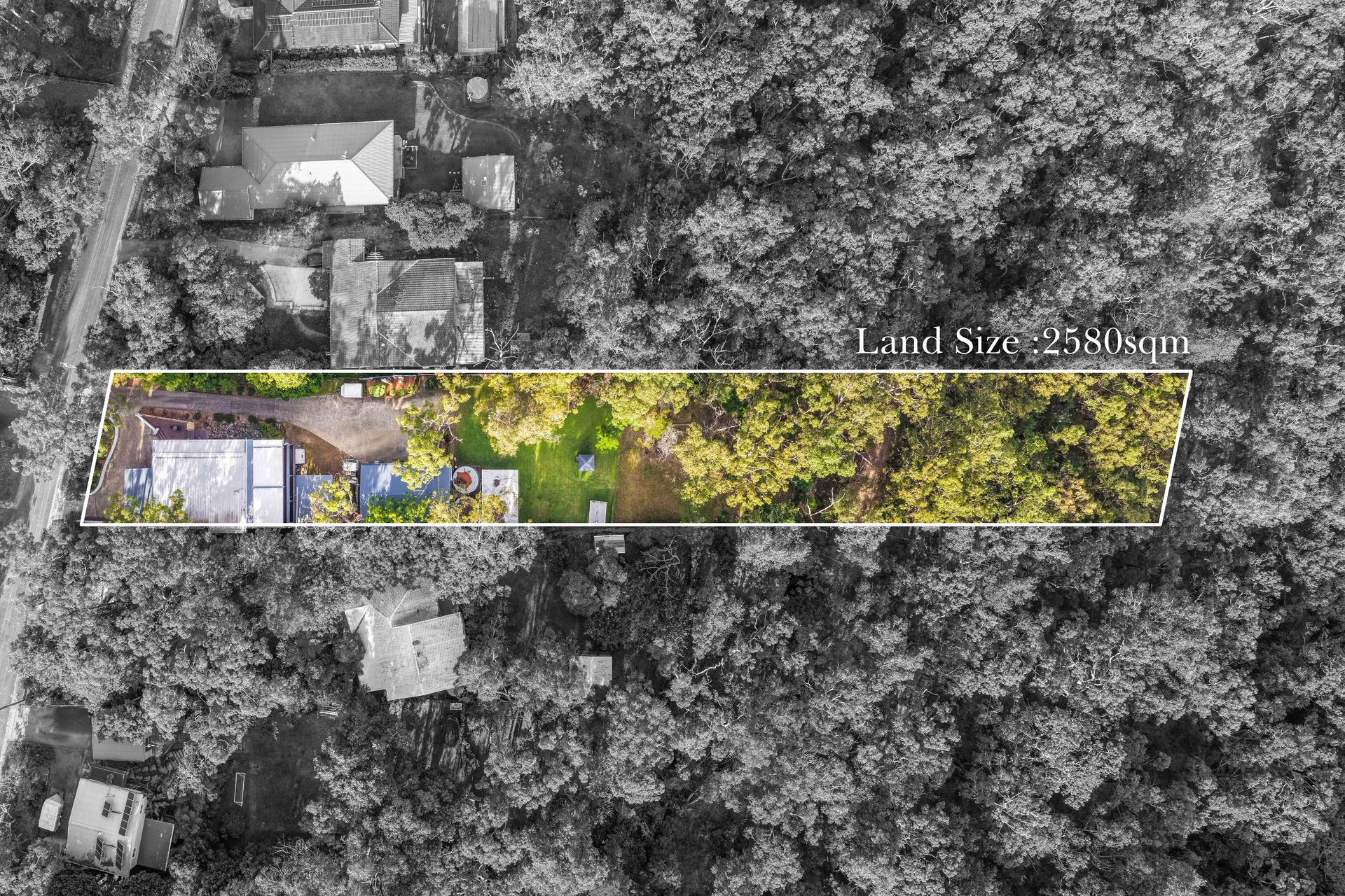 31 Martin Place, Faulconbridge, NSW 2776 AUS