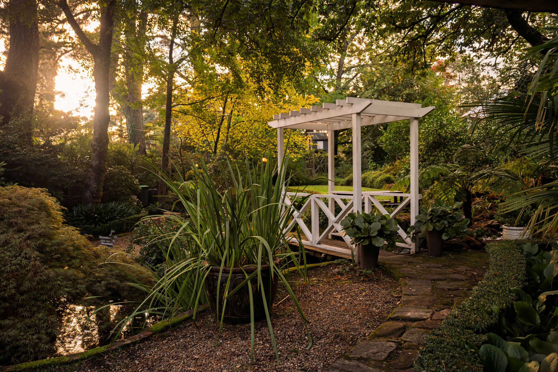 25 Langford Road, Wentworth Falls, NSW 2782 AUS