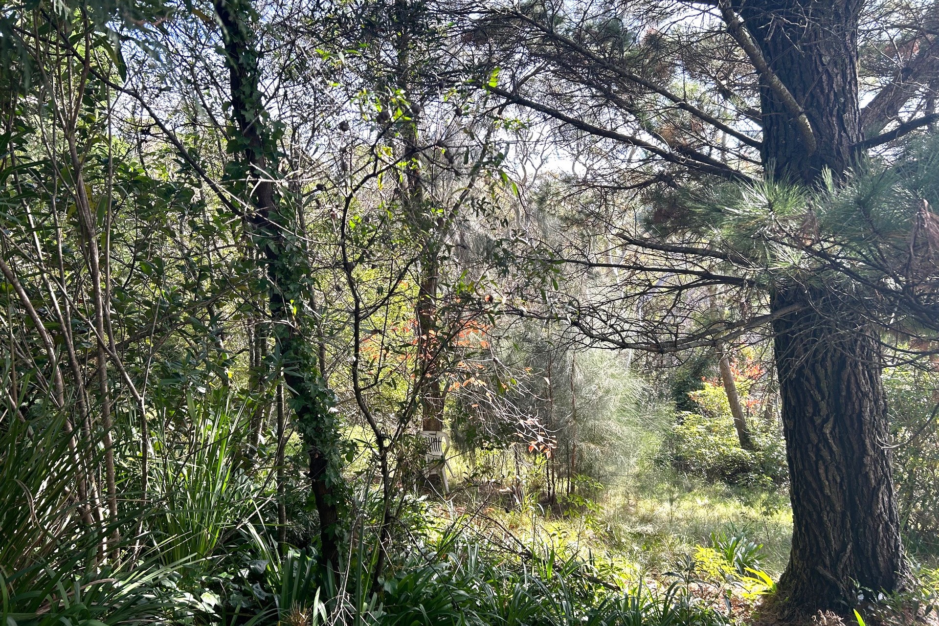 6 Rawson Parade, Leura, NSW 2780 AUS