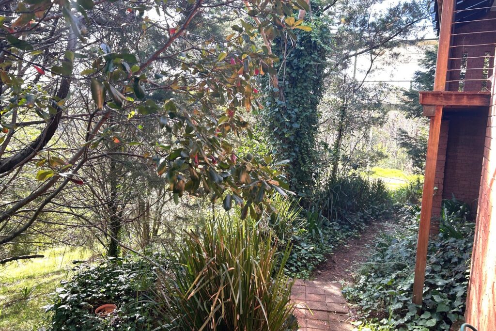 6 Rawson Parade, Leura, NSW 2780 AUS