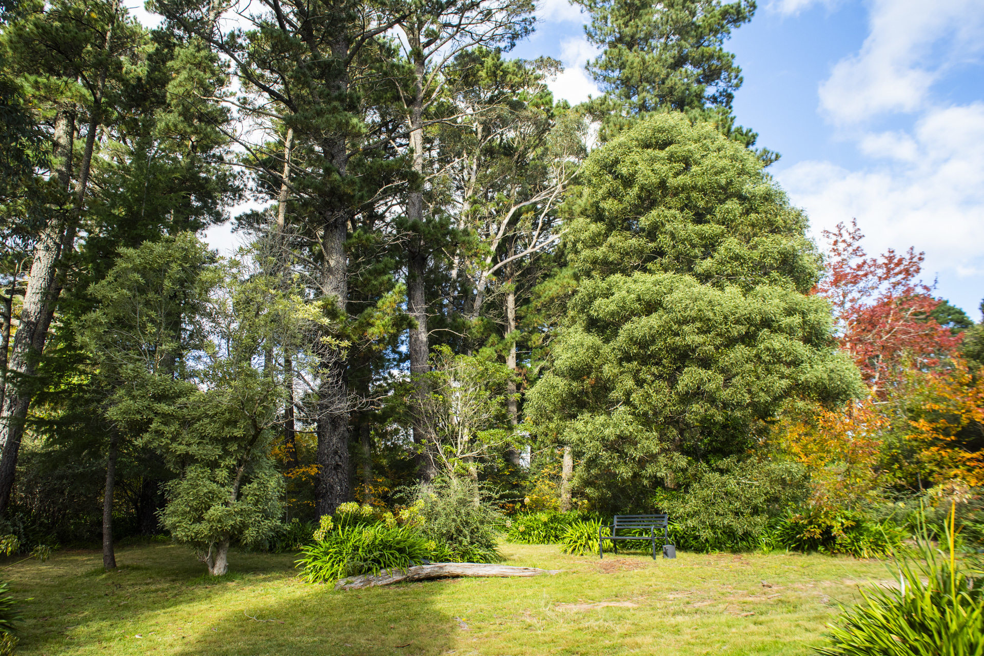14 Albert Street, Leura, NSW 2780 AUS