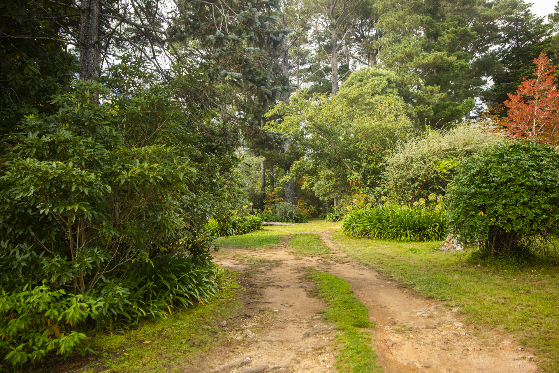 14 Albert Street, Leura, NSW 2780 AUS