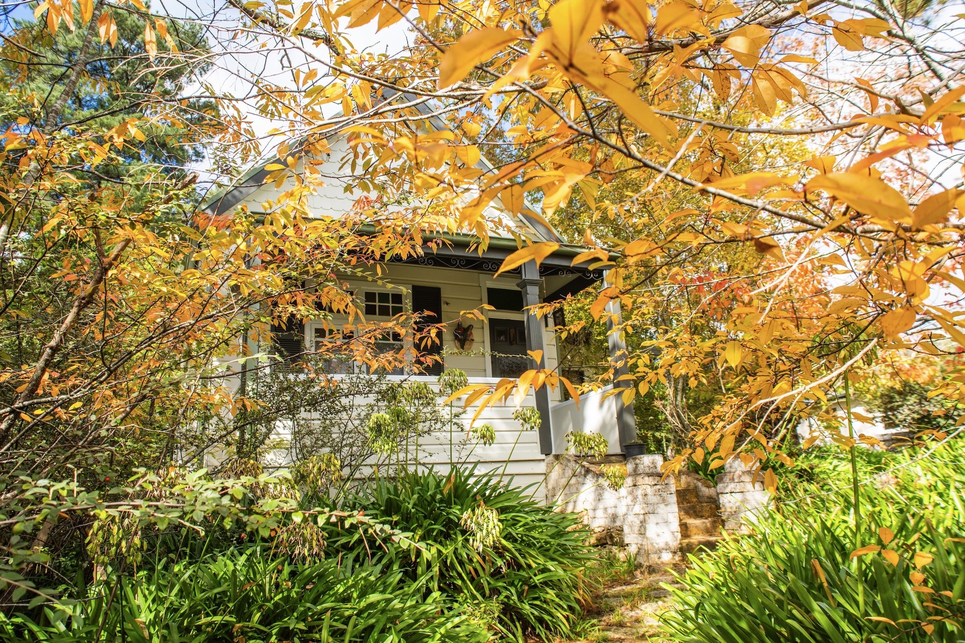 14 Albert Street, Leura, NSW 2780 AUS