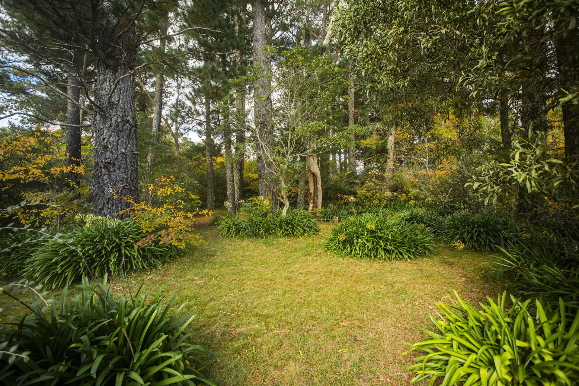 14 Albert Street, Leura, NSW 2780 AUS