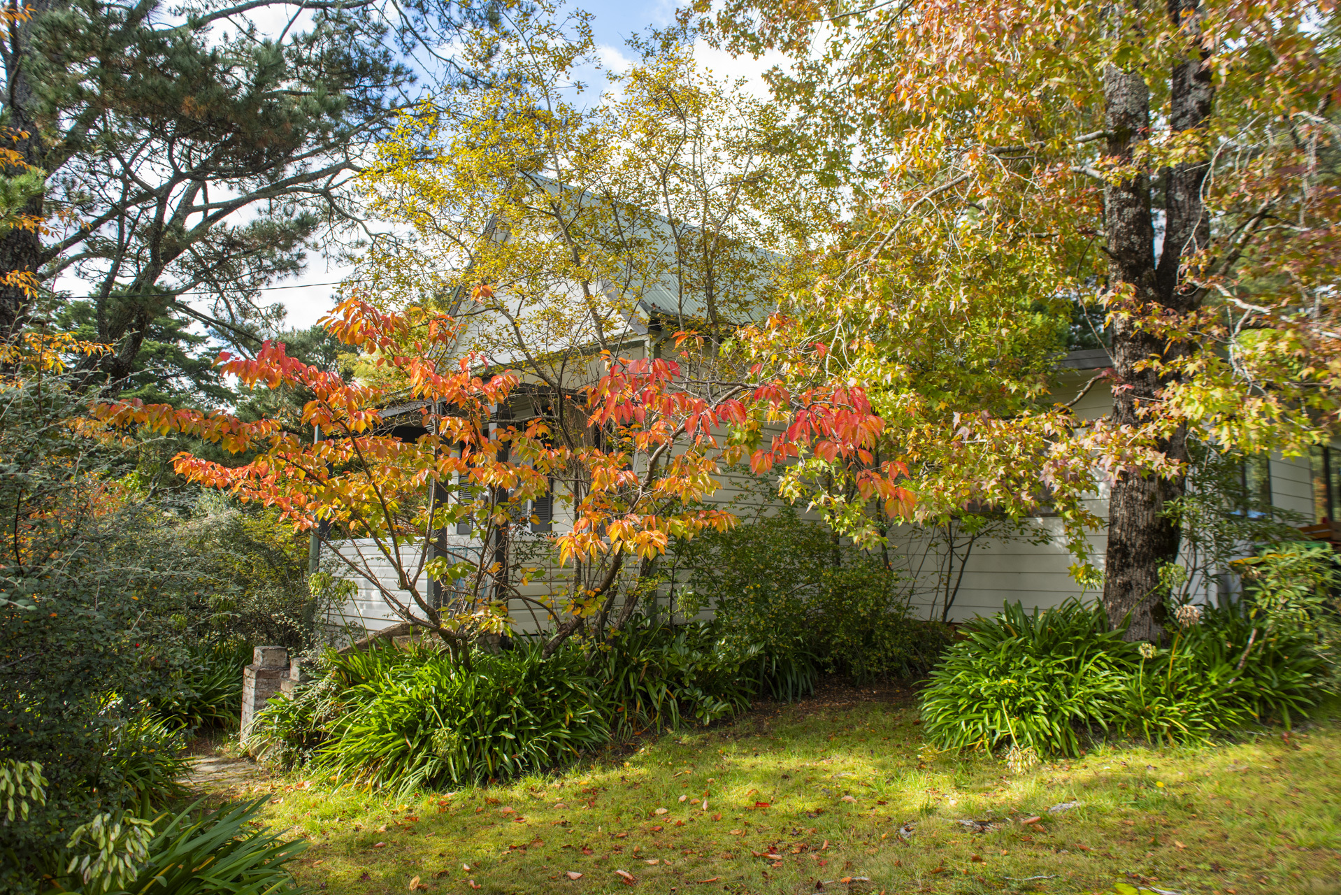 14 Albert Street, Leura, NSW 2780 AUS