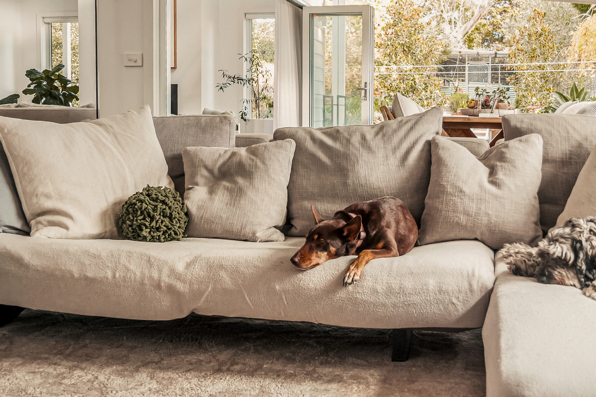 8 Gates Avenue, Katoomba, NSW 2780 AUS