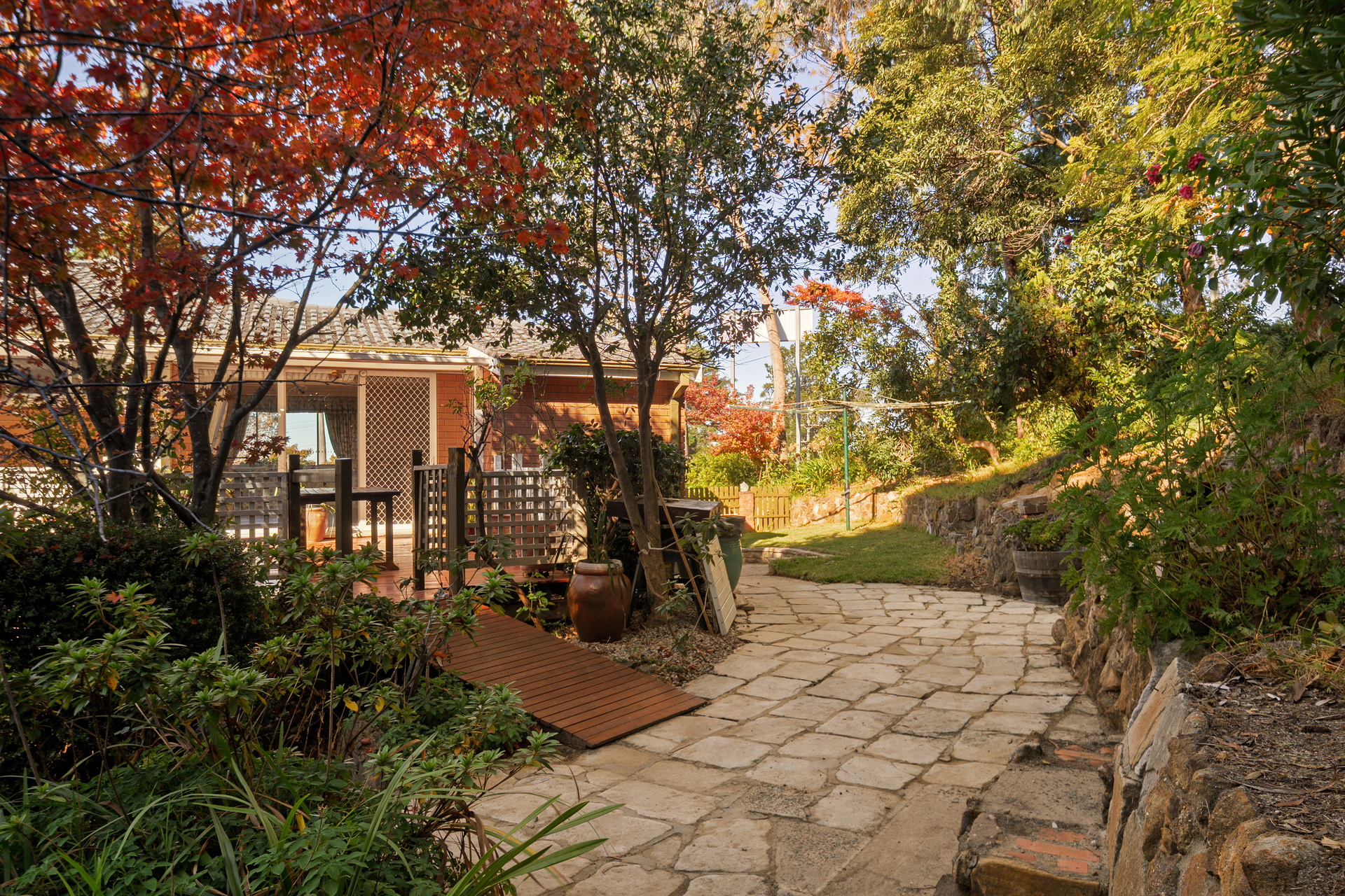 56 Hall Parade, Hazelbrook, NSW 2779 AUS