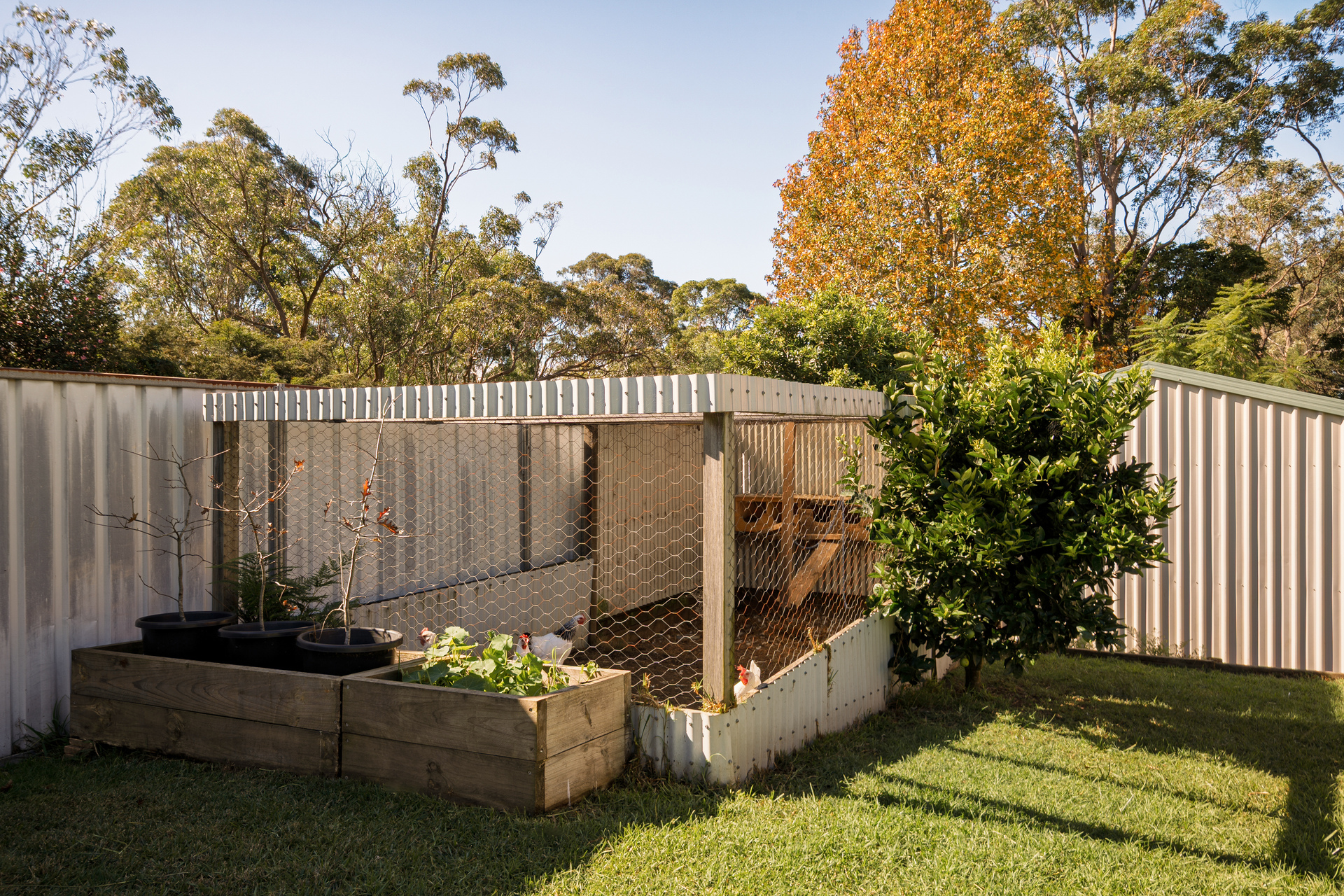 133 Grose Road, Faulconbridge, NSW 2776 AUS