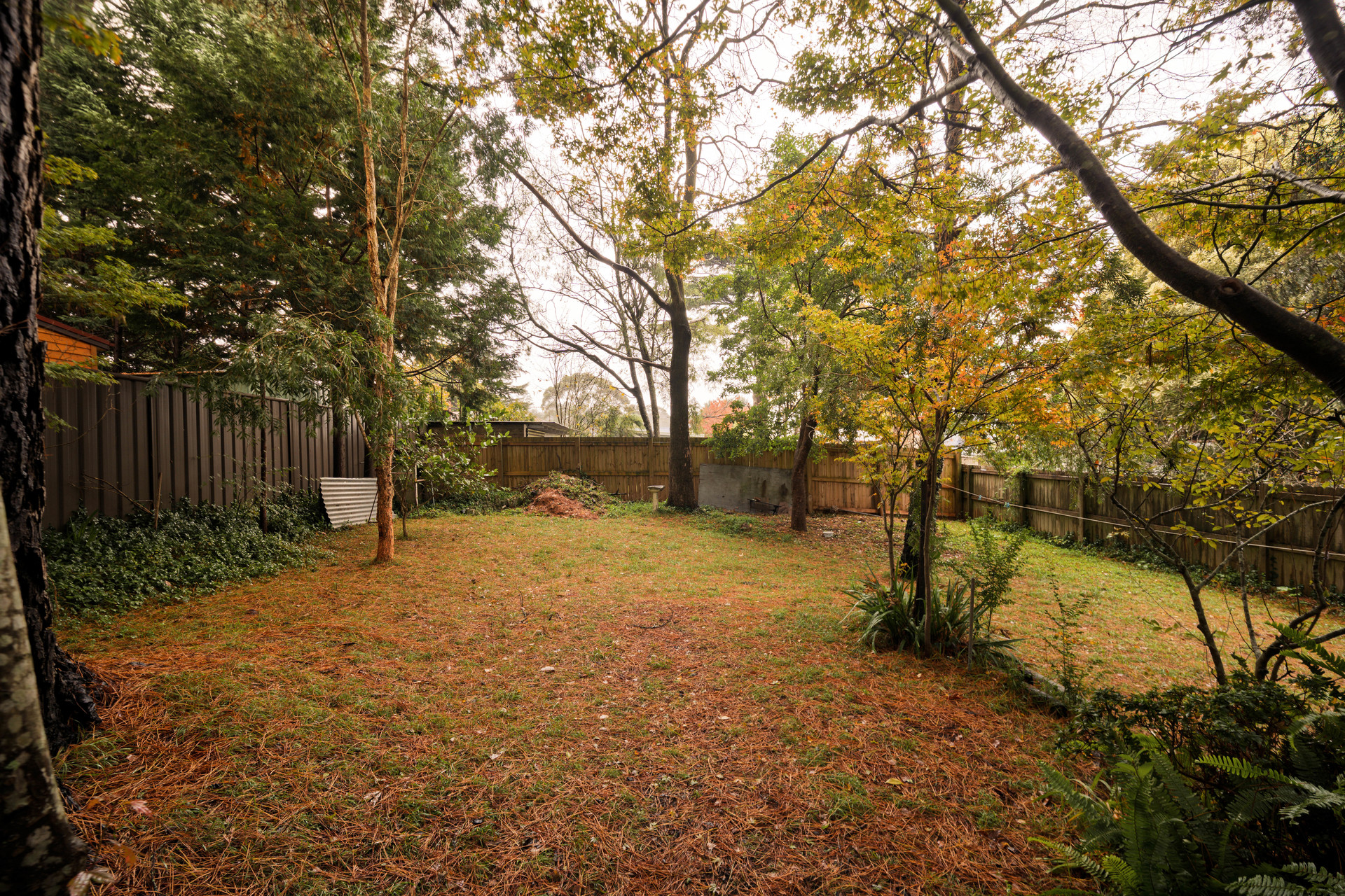 110 Waratah Street, Katoomba, NSW 2780 AUS