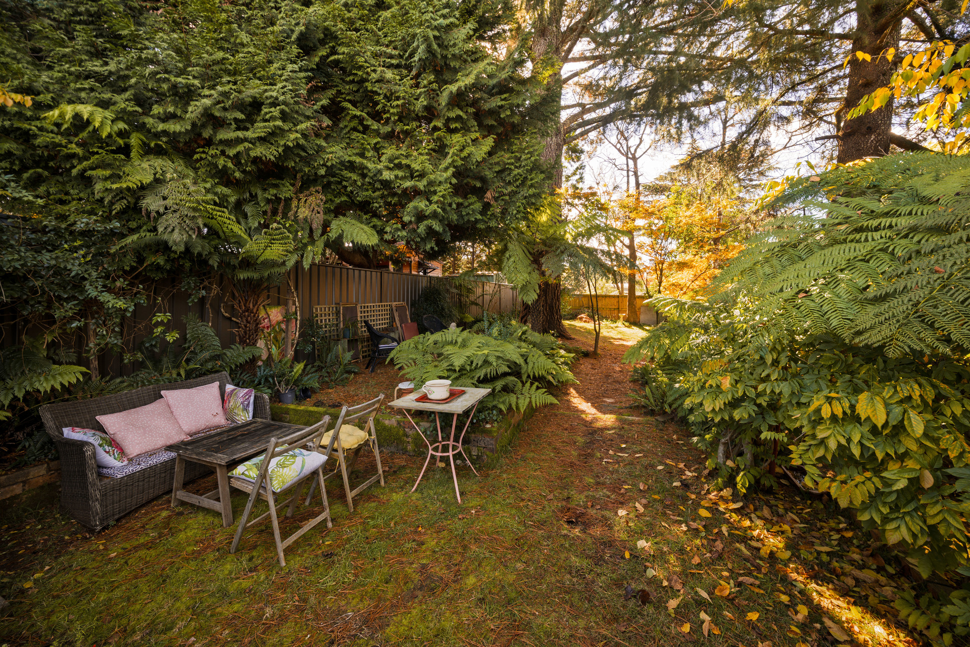 110 Waratah Street, Katoomba, NSW 2780 AUS