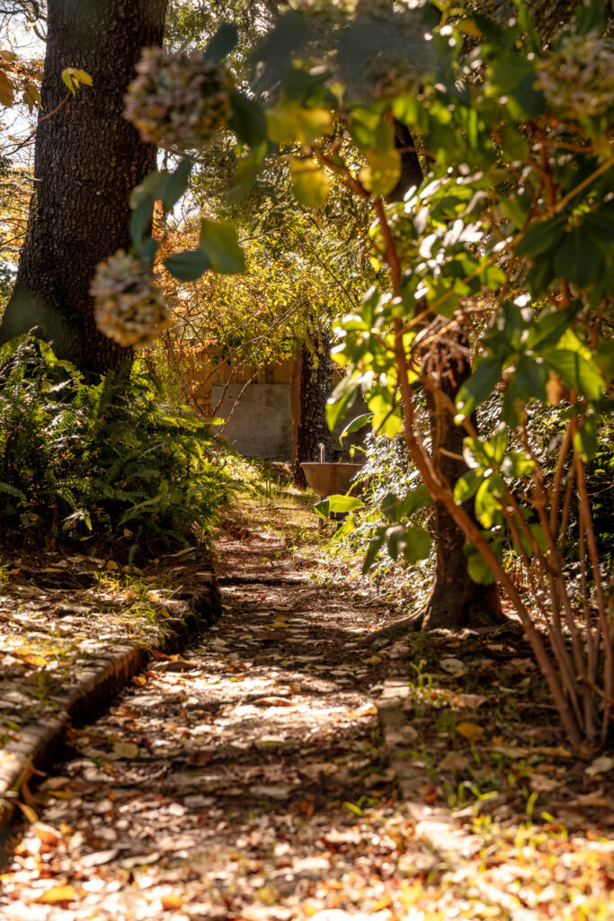 110 Waratah Street, Katoomba - Thumbnail 8