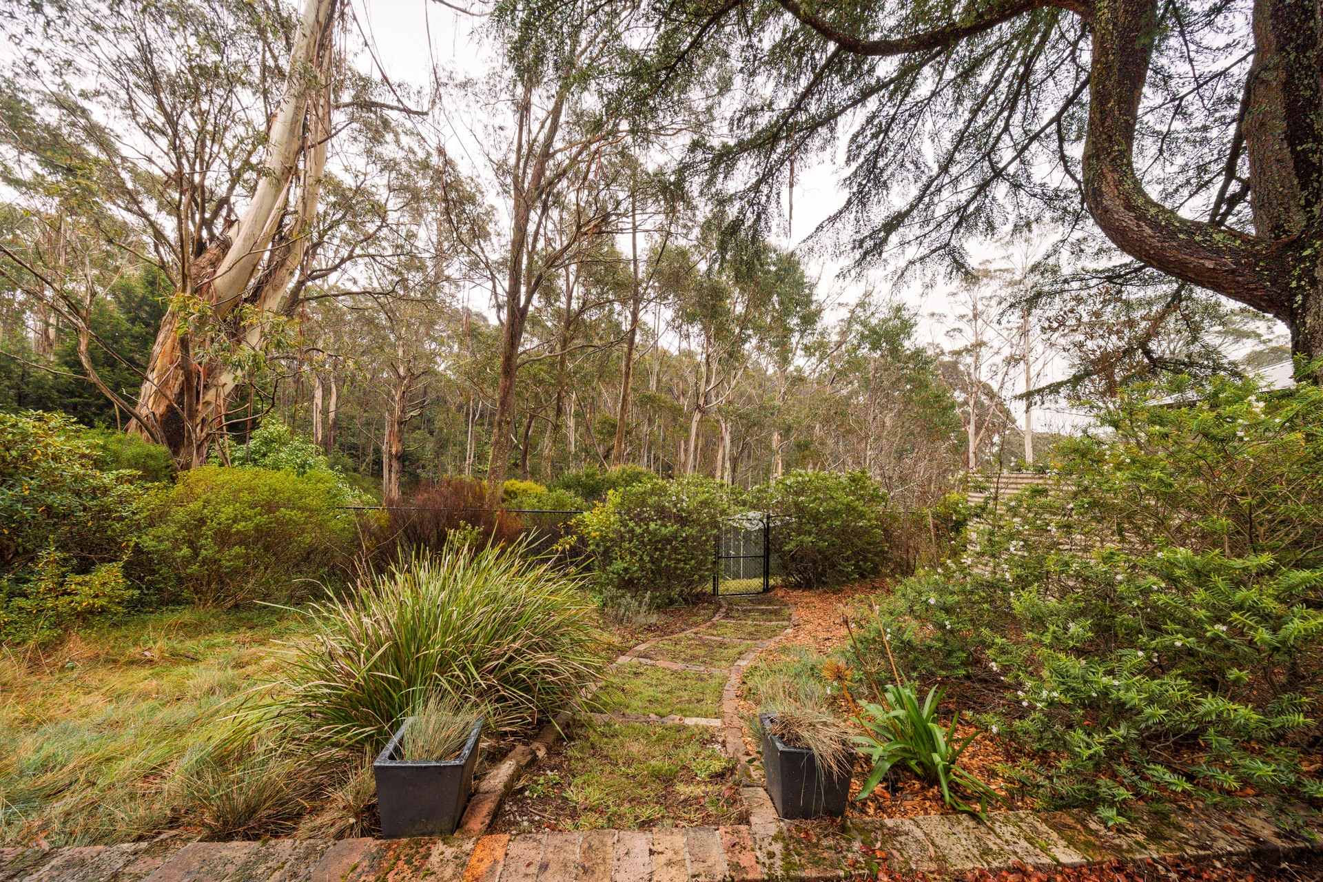 93 Rupert Street, Katoomba, NSW 2780 AUS
