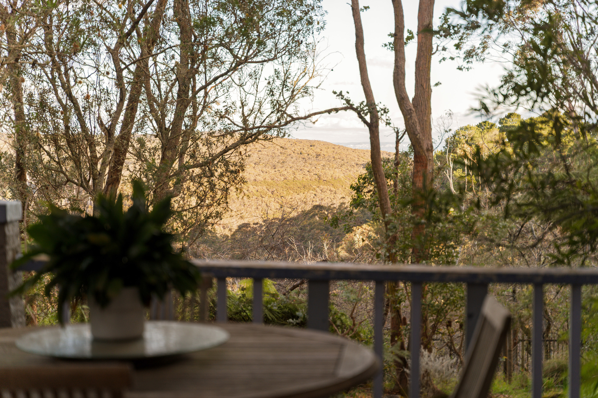 17 Myoori Avenue, Wentworth Falls, NSW 2782 AUS