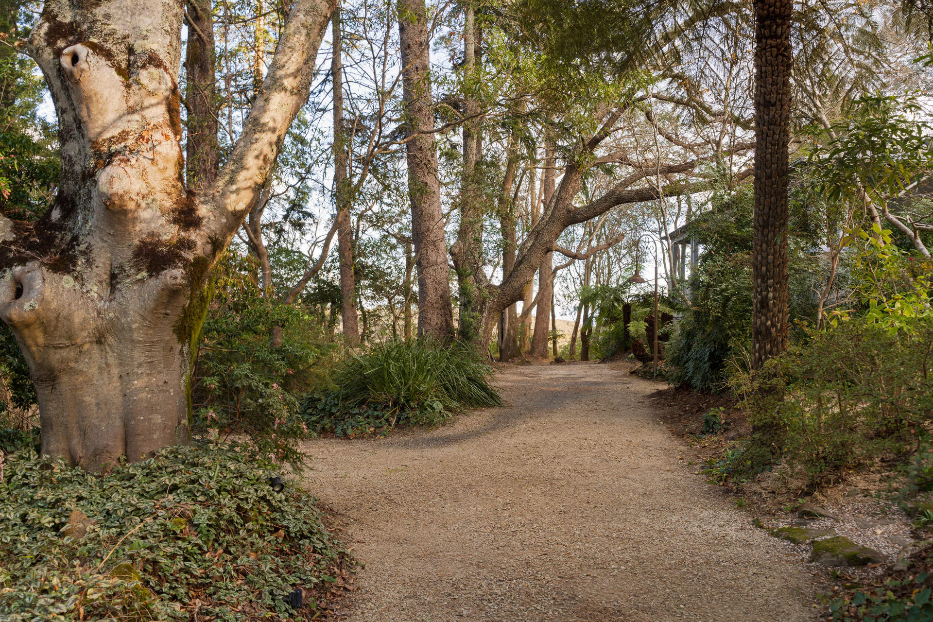 17 Myoori Avenue, Wentworth Falls, NSW 2782 AUS