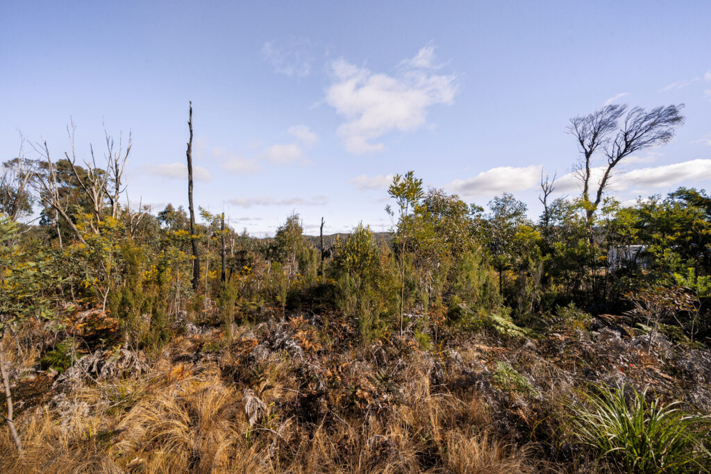 391 Chifley Road, Dargan, NSW 2786 AUS