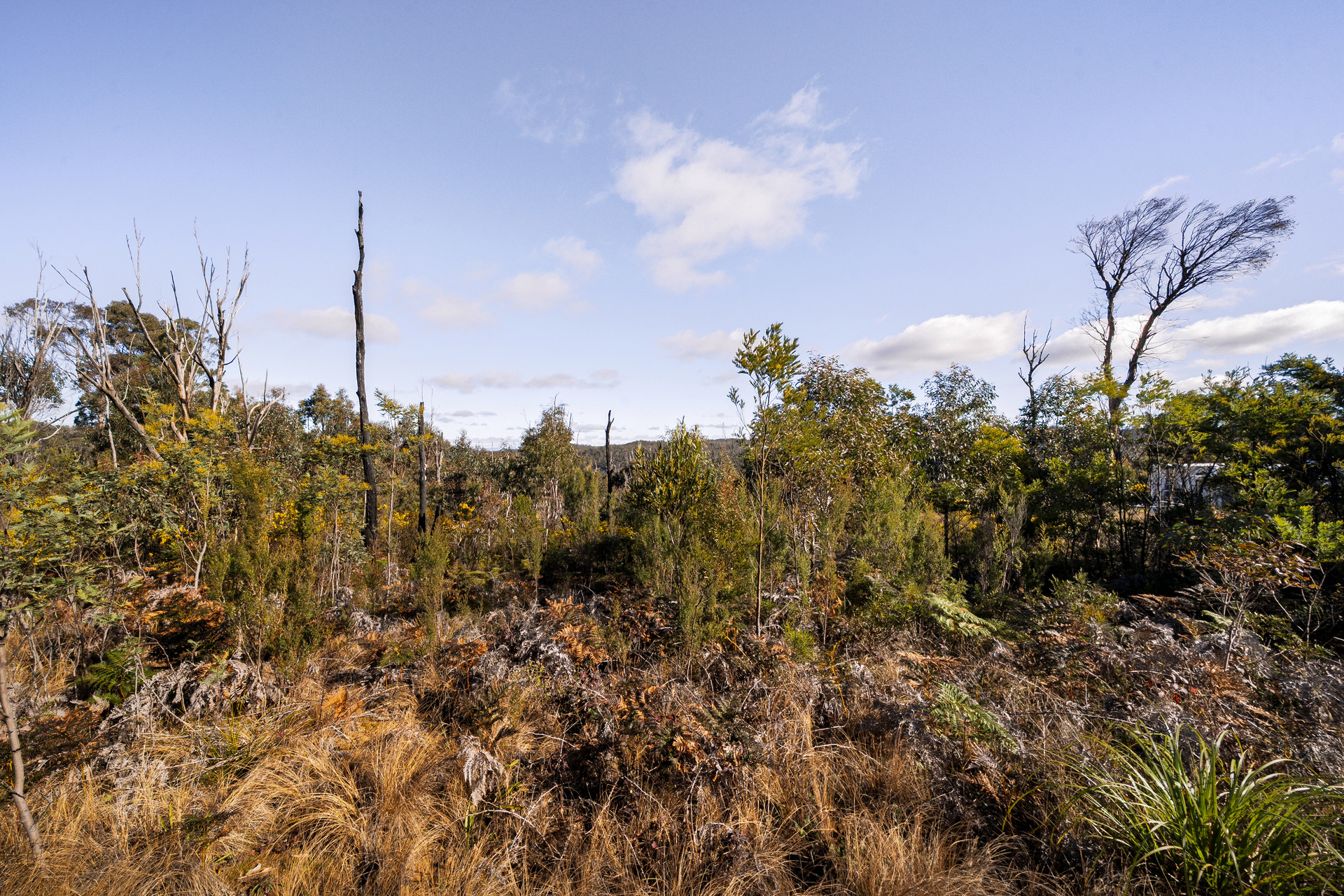 391 Chifley Road, Dargan - Thumbnail 5