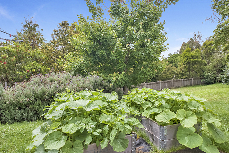 1/7 San Jose Avenue, Lawson, NSW 2783 AUS