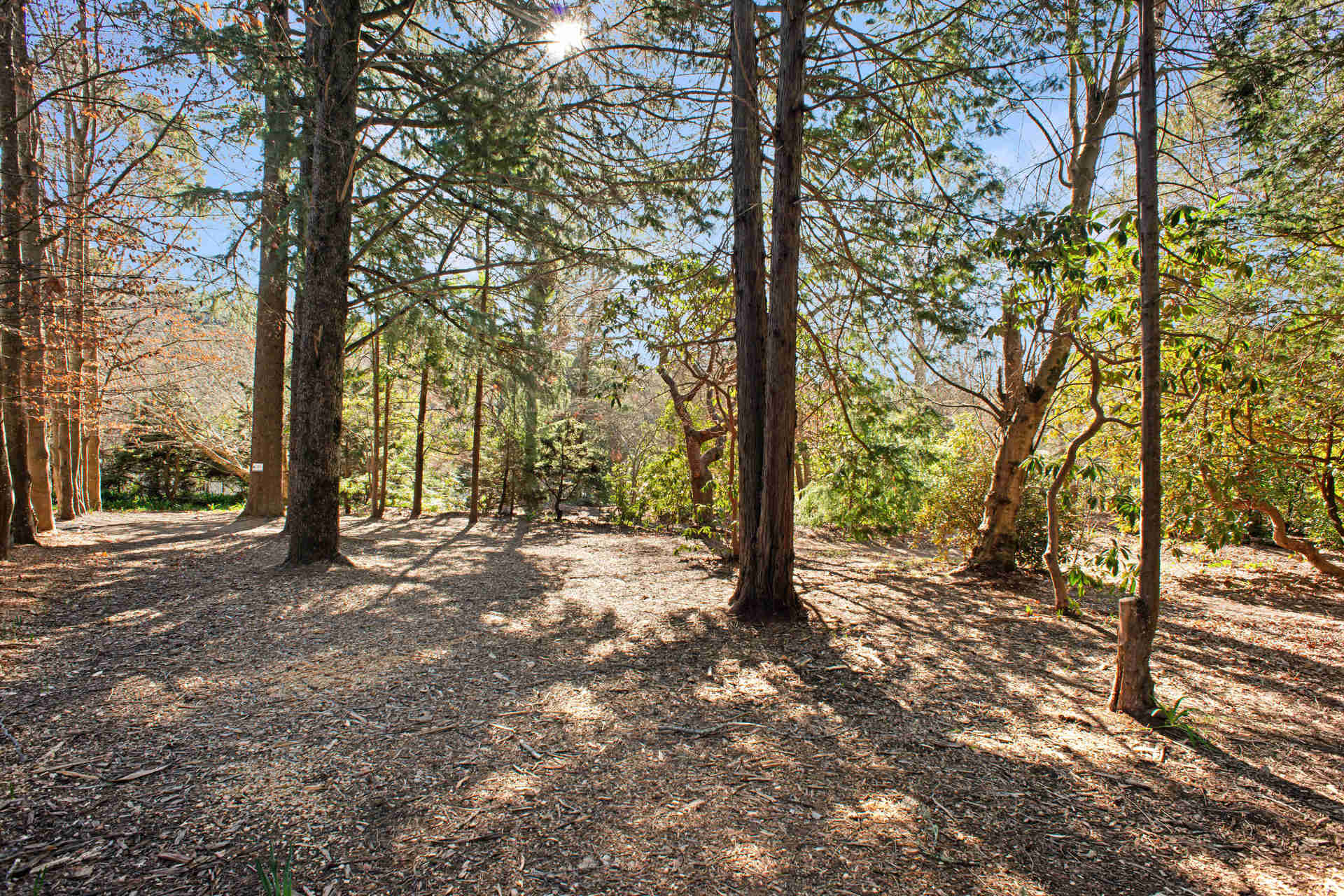 8 Herbert Street, Leura, NSW 2780 AUS