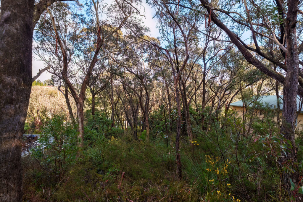 57 Leura Mall, Leura, NSW 2780 AUS