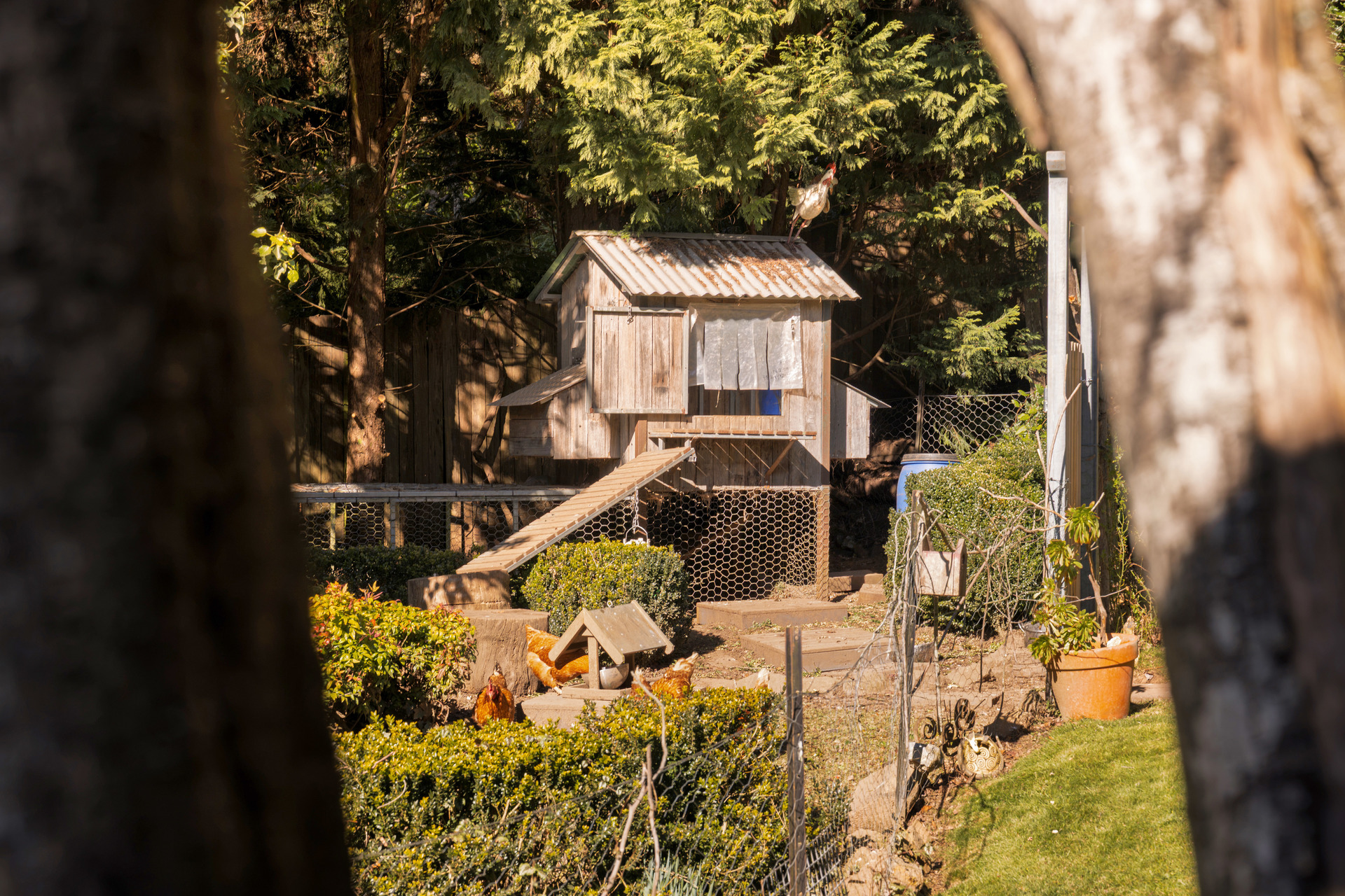 7-9 Milson Street, Mount Victoria, NSW 2786 AUS