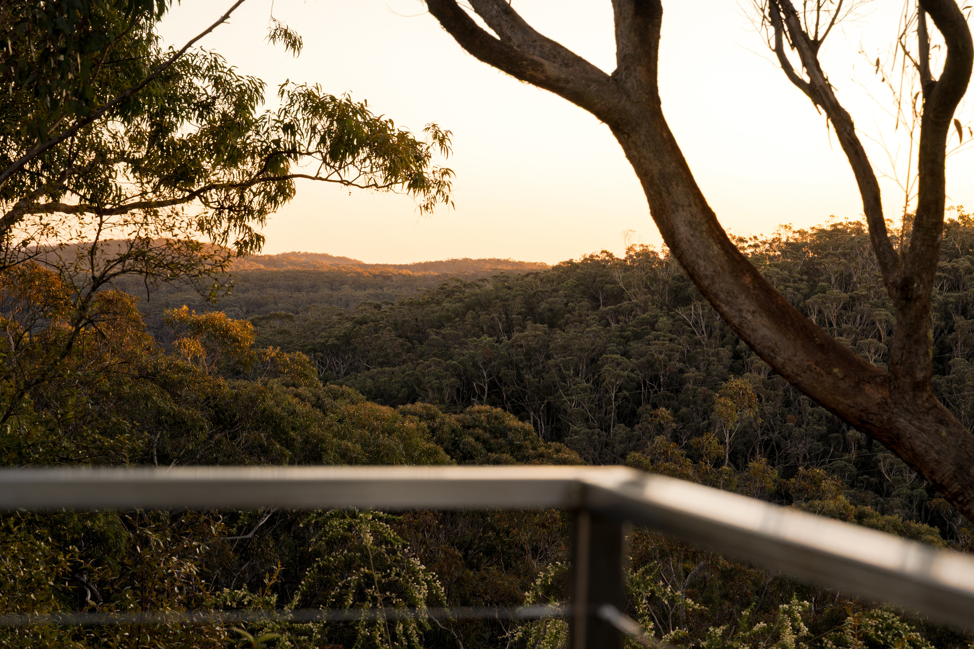 45 Sayers Street, Lawson, NSW 2783 AUS