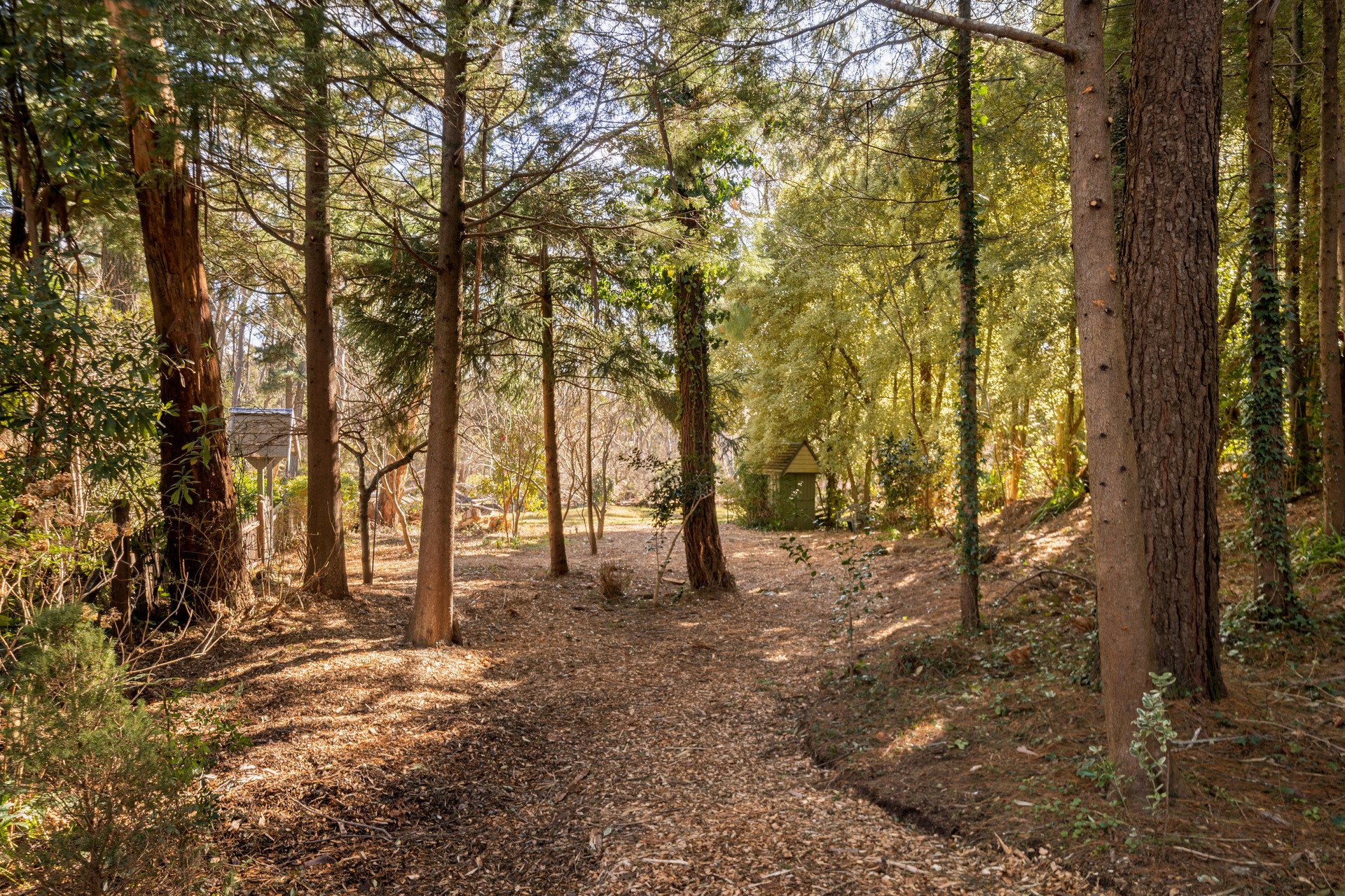 10 Blue Gum Avenue, Medlow Bath, NSW 2780 AUS