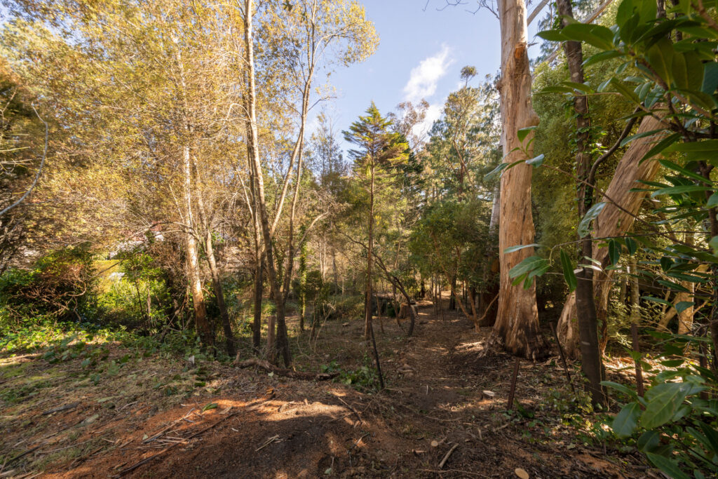 10 Blue Gum Avenue, Medlow Bath, NSW 2780 AUS
