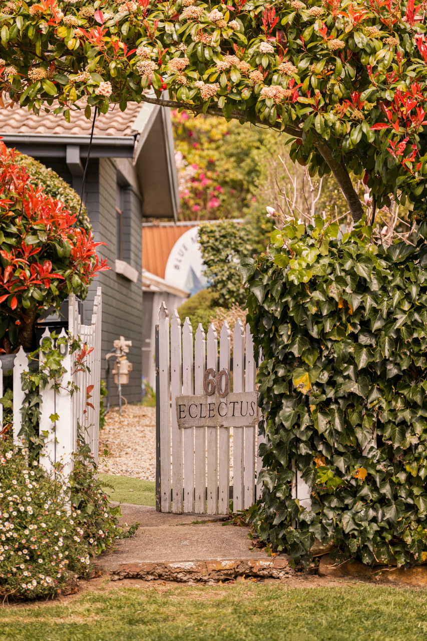 60 Backhouse Street, Wentworth Falls, NSW 2782 AUS