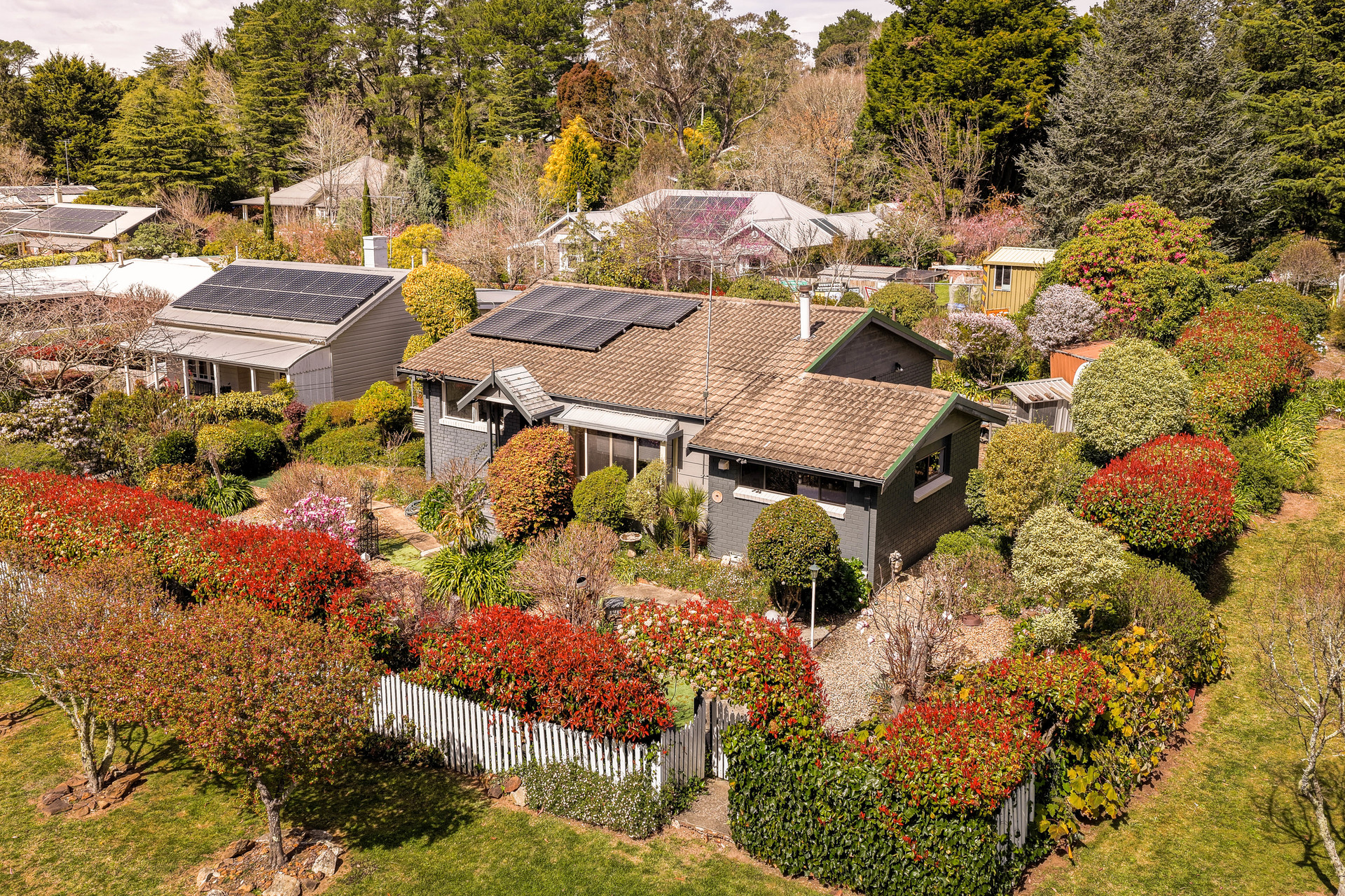 60 Backhouse Street, Wentworth Falls, NSW 2782 AUS