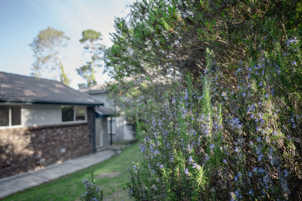 3 Norwood Street, Leura, NSW 2780 AUS