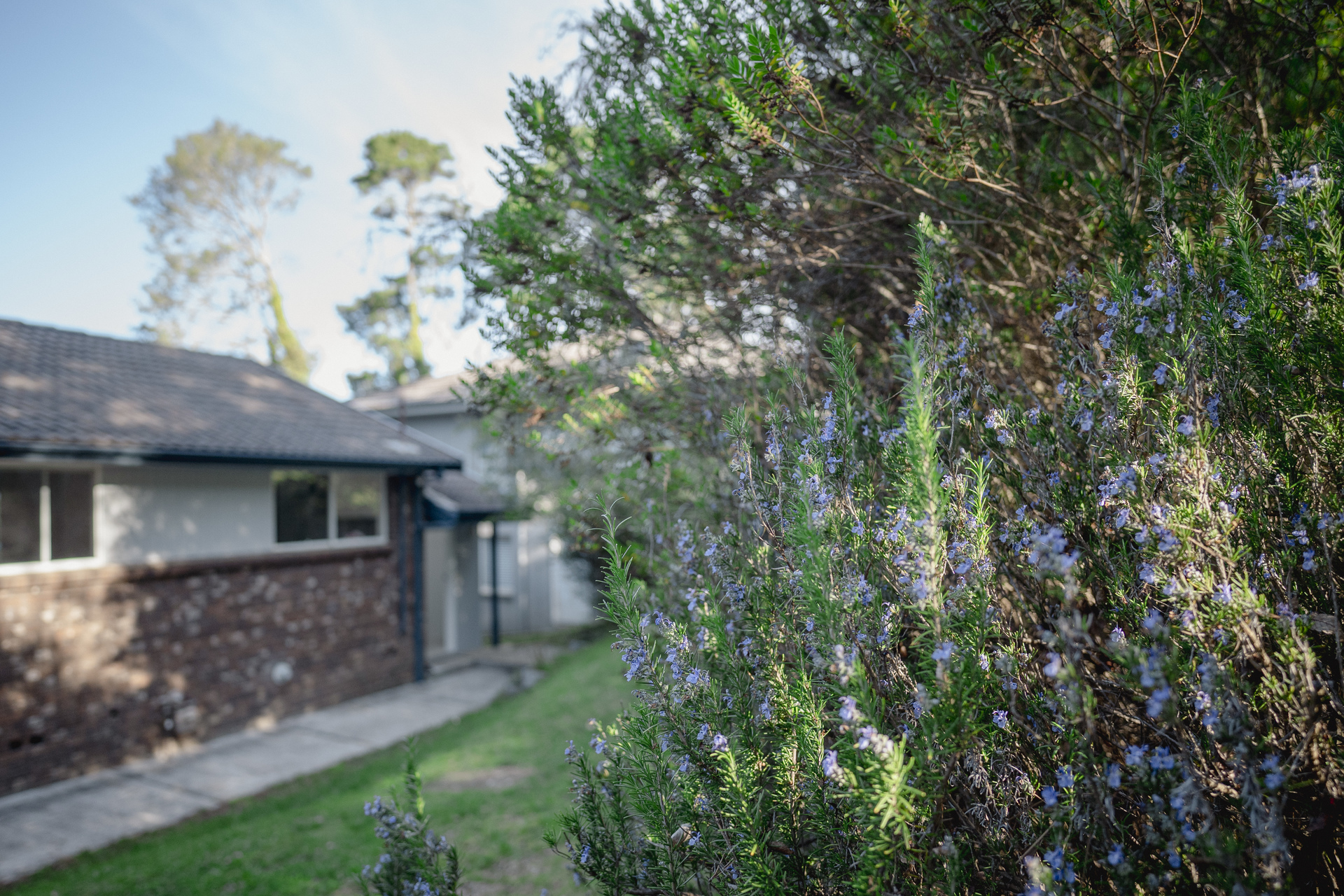 3 Norwood Street, Leura, NSW 2780 AUS