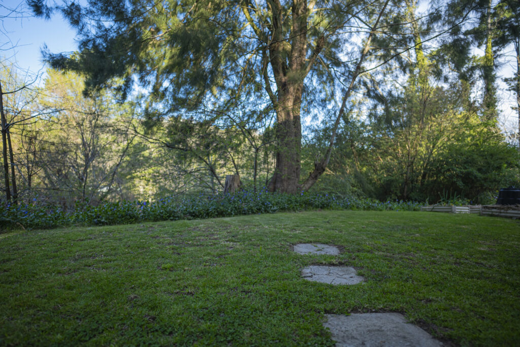 3 Norwood Street, Leura, NSW 2780 AUS