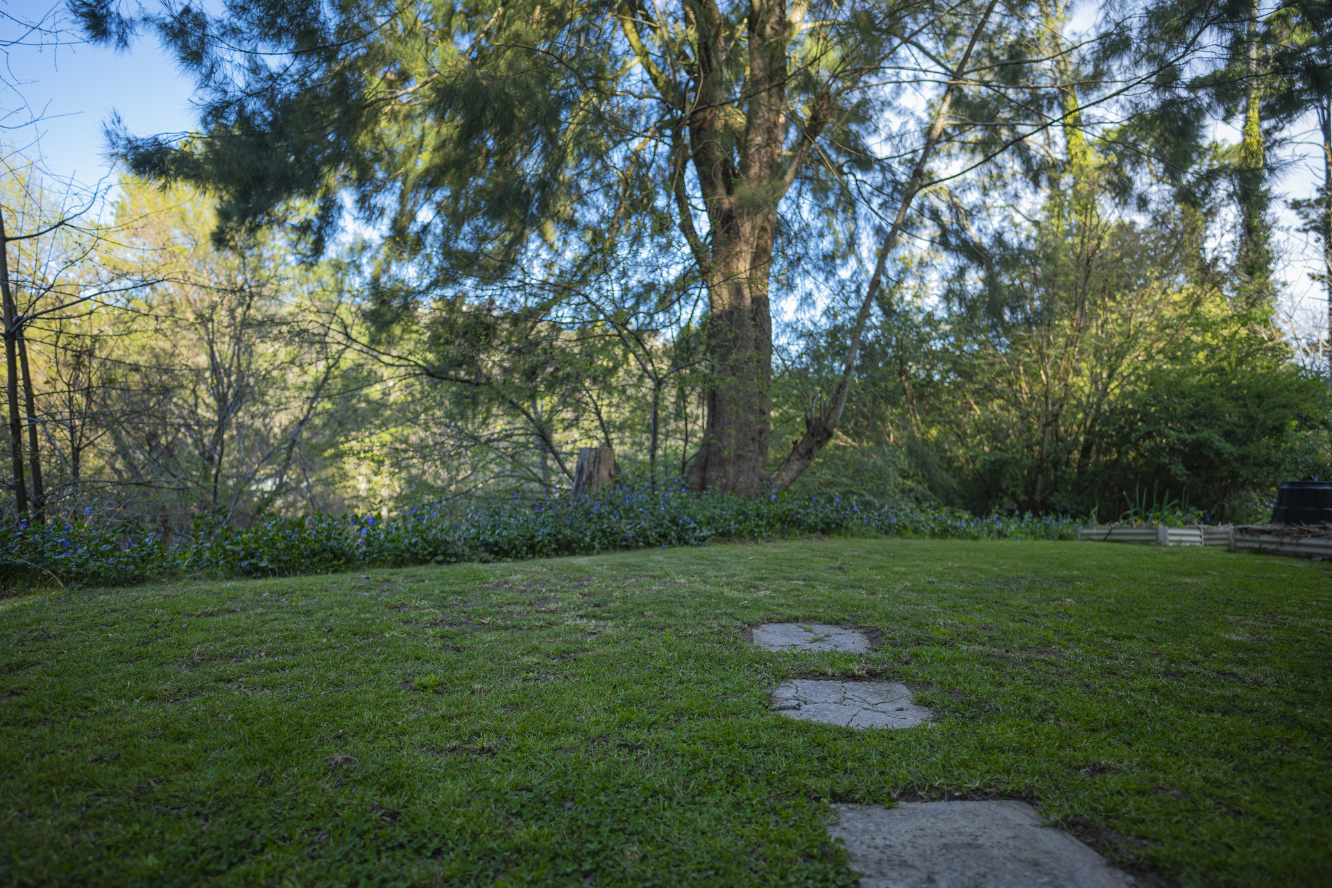 3 Norwood Street, Leura, NSW 2780 AUS