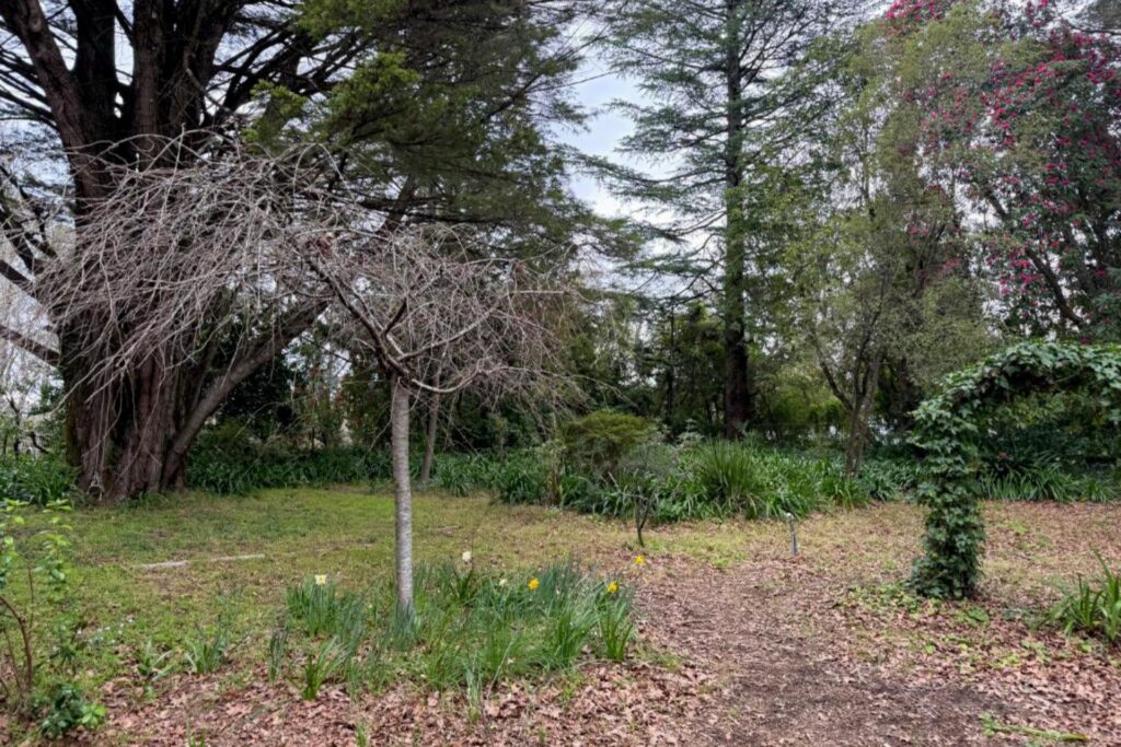 42 Henderson Road, Wentworth Falls, NSW 2782 AUS