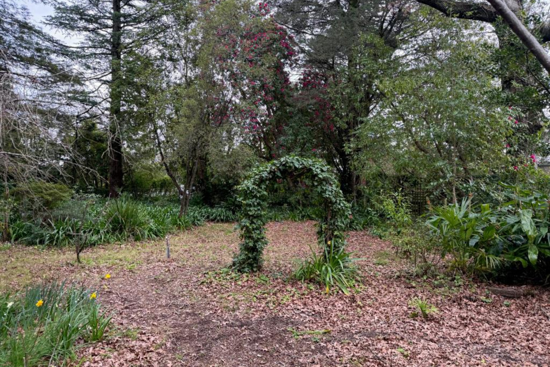 42 Henderson Road, Wentworth Falls, NSW 2782 AUS