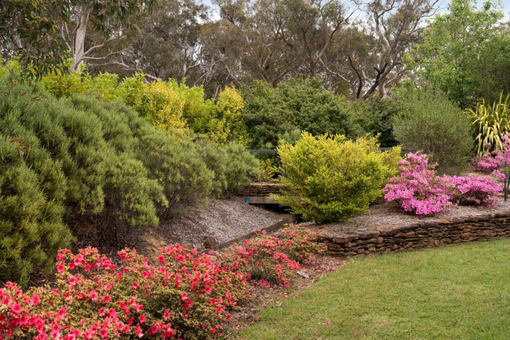 16-24 Redfern Street, Wentworth Falls, NSW 2782 AUS