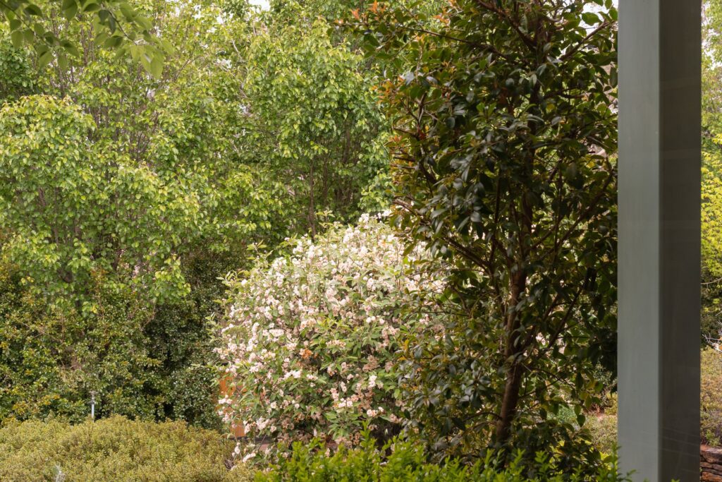 16-24 Redfern Street, Wentworth Falls, NSW 2782 AUS
