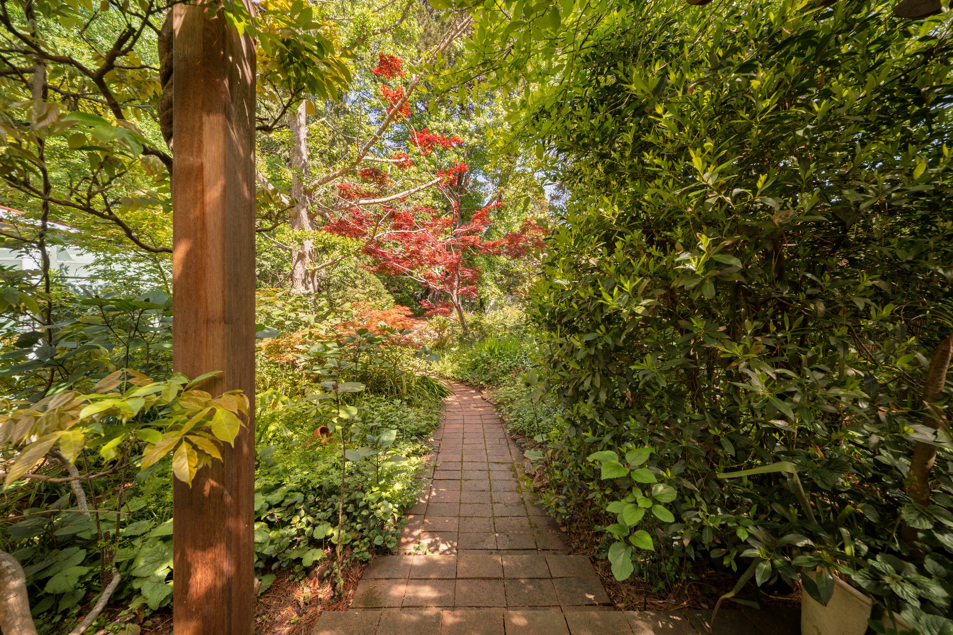 49 Wilson Street, Wentworth Falls, NSW 2782 AUS